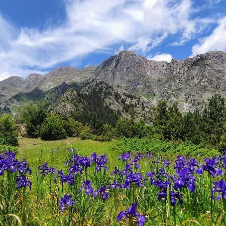 Terraza De Laball Appartement *