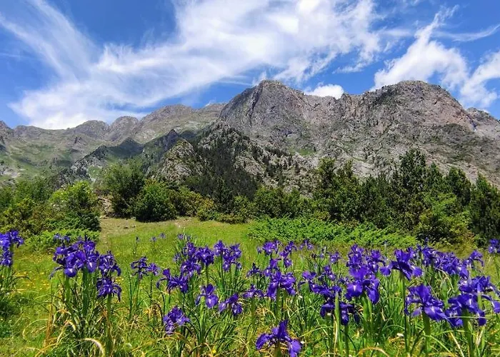Terraza De Laball شقة *
